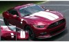 2015-2017 Mustang Dual Hood Stripes Solid Style and Faders